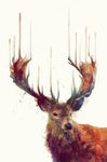 Wild Game Jerky